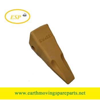 Teeth point 9w4551